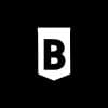 Bleav logo
