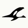 Orca Communications logo