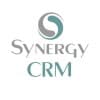 SYNERGY CRM: Conseil en développement commercial & stratégie Marketing logo
